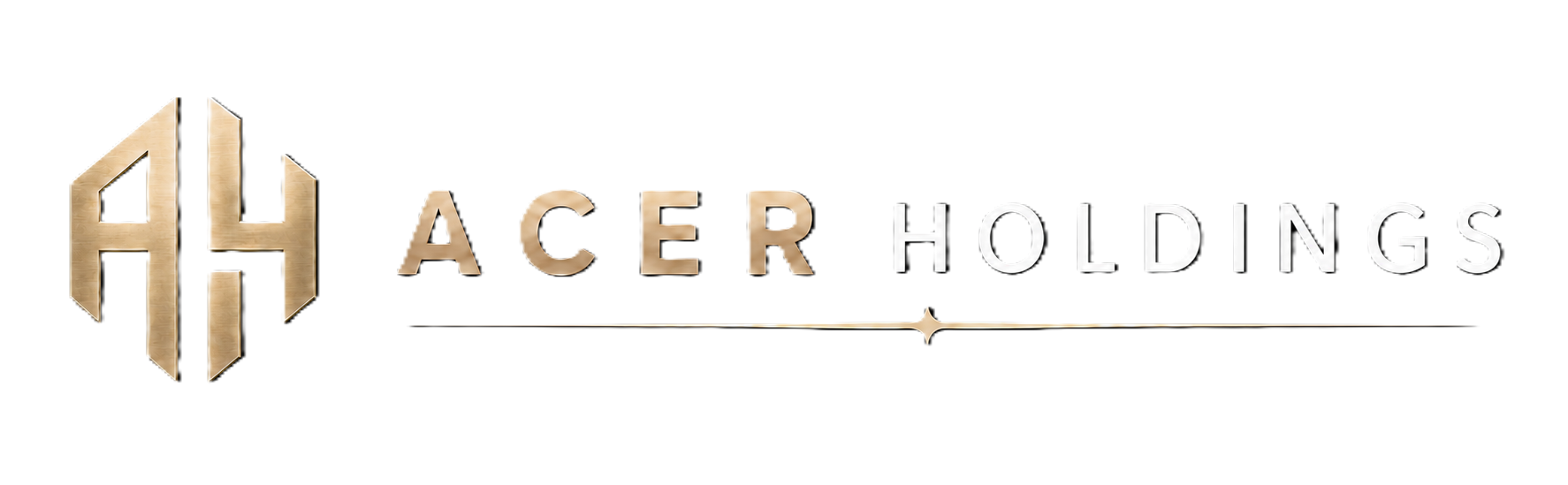 Acer Holdings